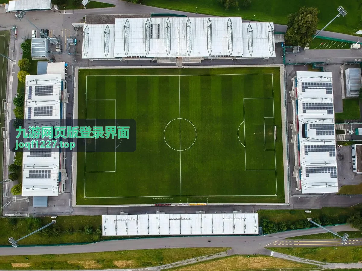 九游网页版登录界面安全验证环节的说明与提醒配图